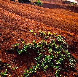 《鬼武者：剑之道》《生化危机9》TGS 2025宣传片